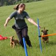 Na zahřátí si dáme agility 