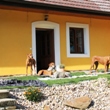 Letos nás doprovodili Magmabonky a Střihule boys 