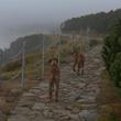 V sobotu to nebyla panoramata